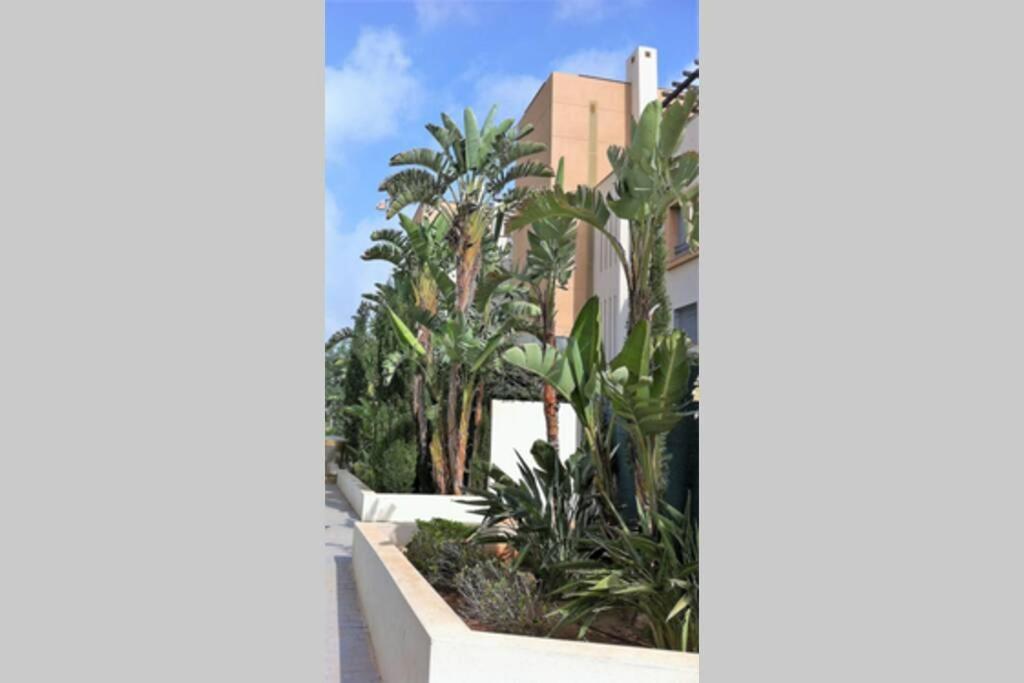 Chill Out Ground Floor Apartm +Private Garden+Wifi Retamar  Exterior photo
